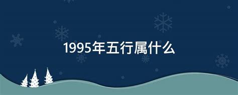 1995 五行